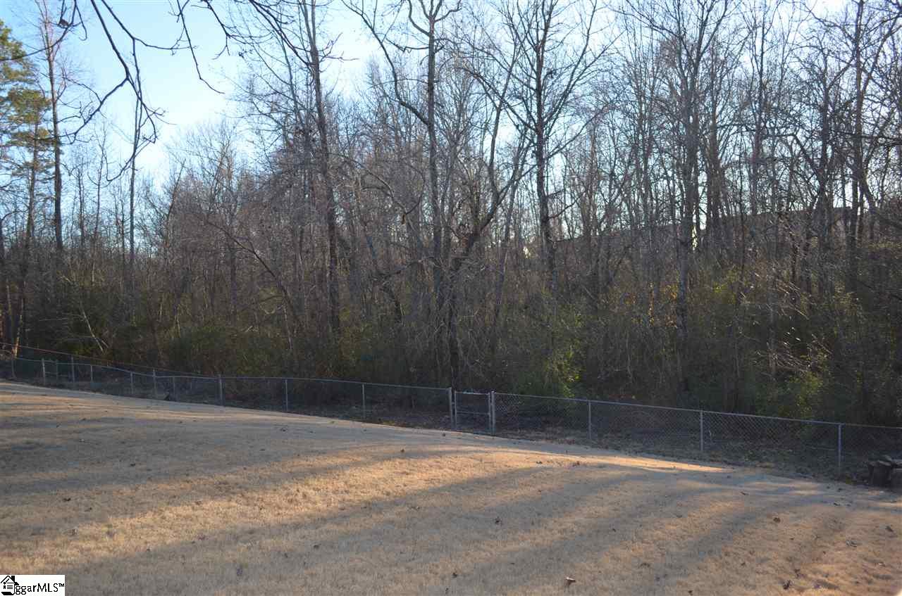 239 Riverside Chase Circle Greer, SC 29650 - Photo 30 of 32