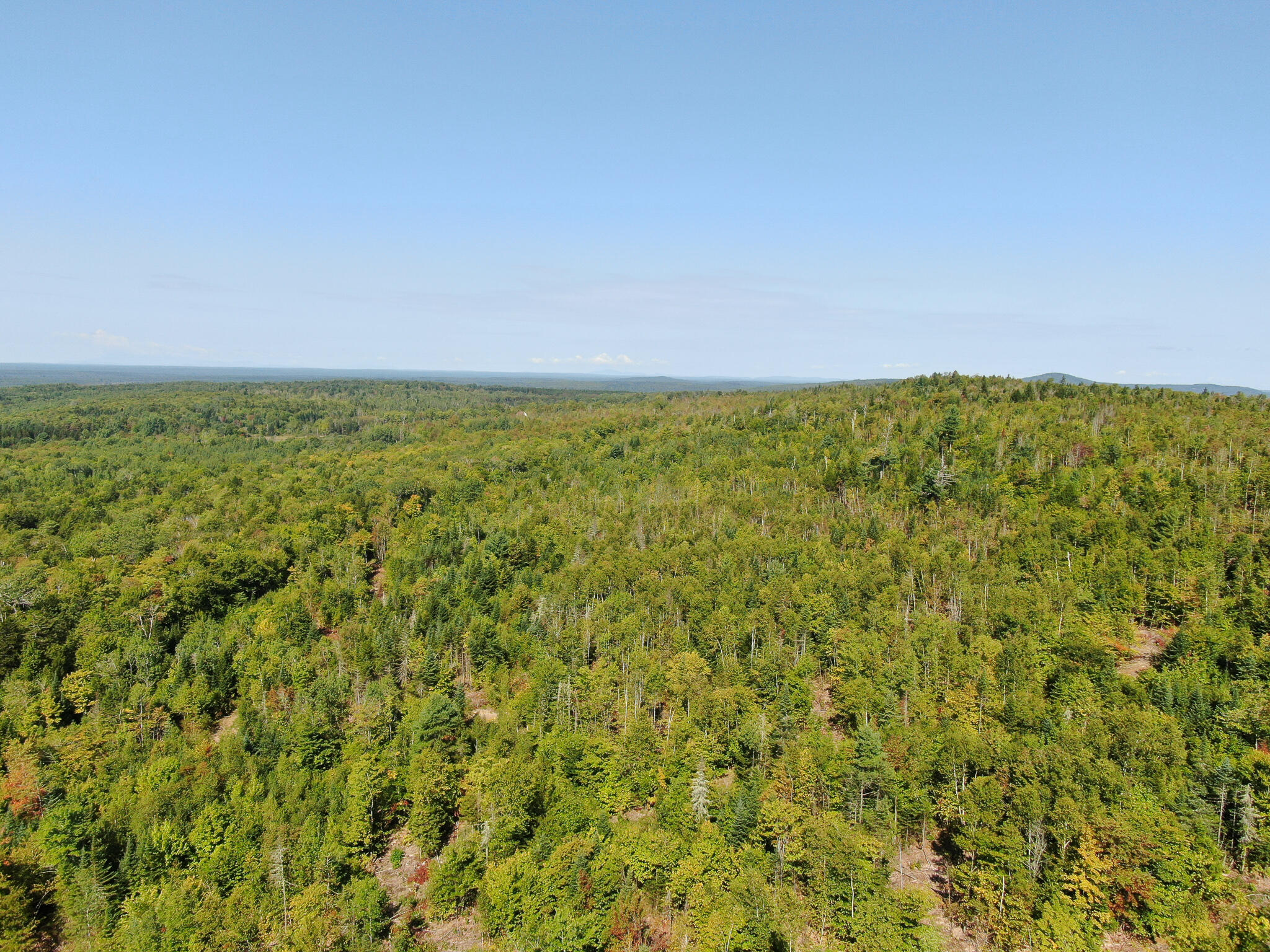 Lot 7 Chadwick Pt Road Weston, ME 04424 - Photo 9 of 18 DJI_0752