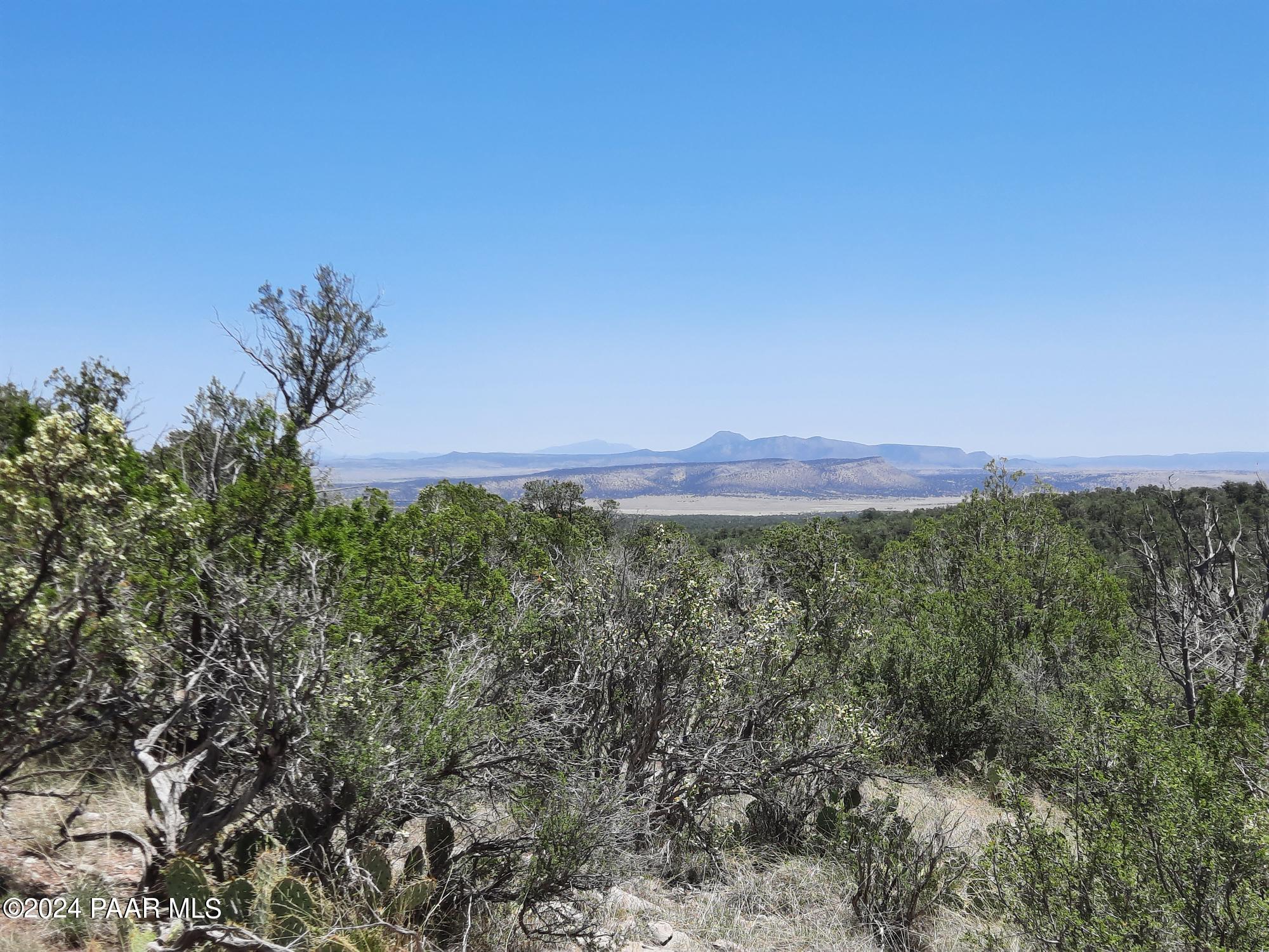Lot 1404 North Lightning Rdg Road Seligman, AZ 86337 - Photo 1 of 8 cover