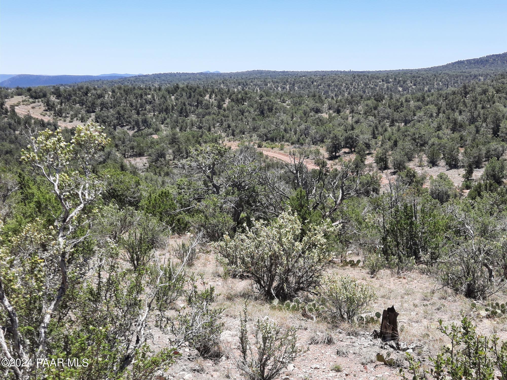 Lot 1404 North Lightning Rdg Road Seligman, AZ 86337 - Photo 2 of 8 20240519_120223