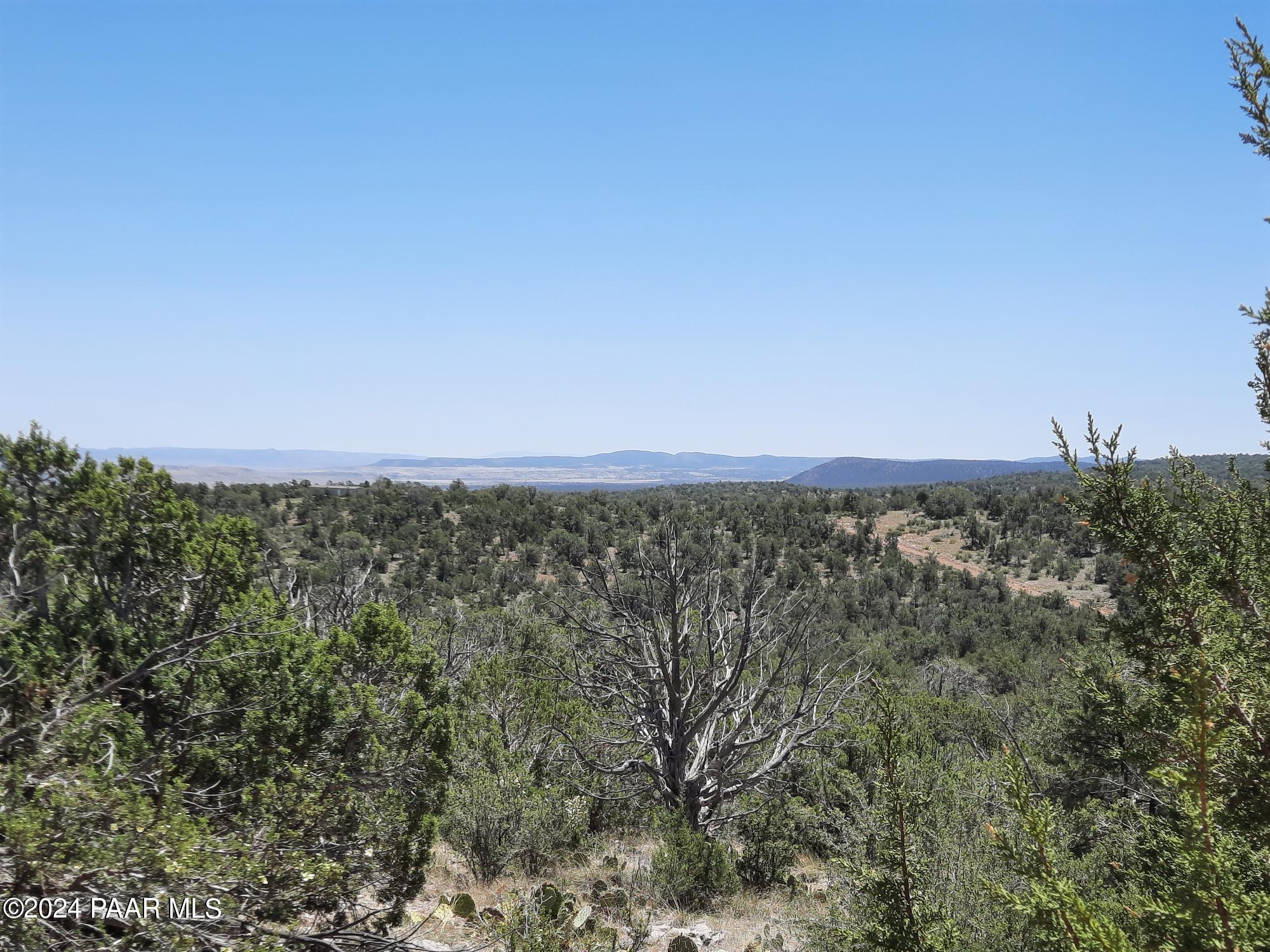 Lot 1404 North Lightning Rdg Road Seligman, AZ 86337 - Photo 3 of 8 20240519_120328