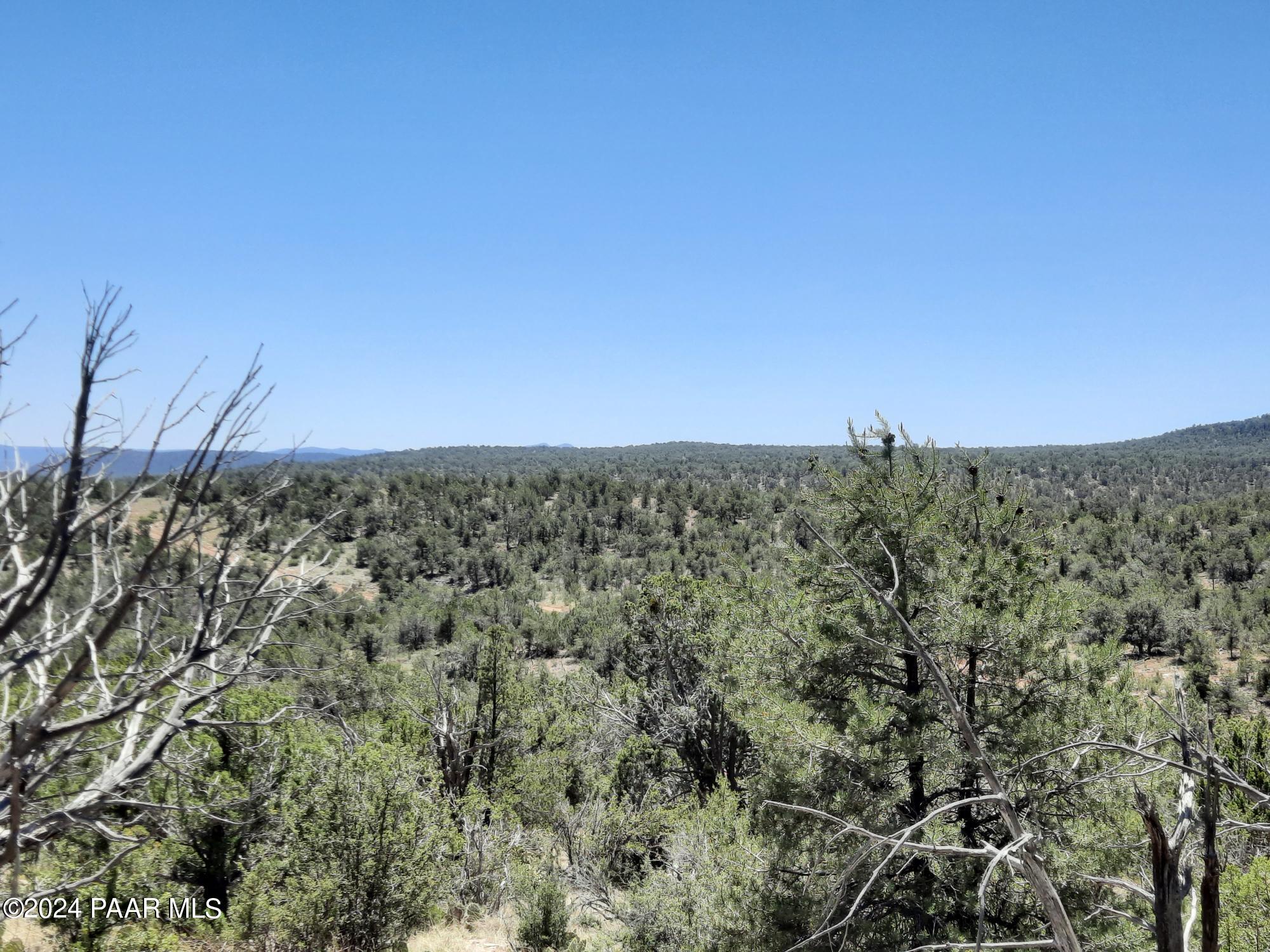 Lot 1404 North Lightning Rdg Road Seligman, AZ 86337 - Photo 4 of 8 20240519_120414
