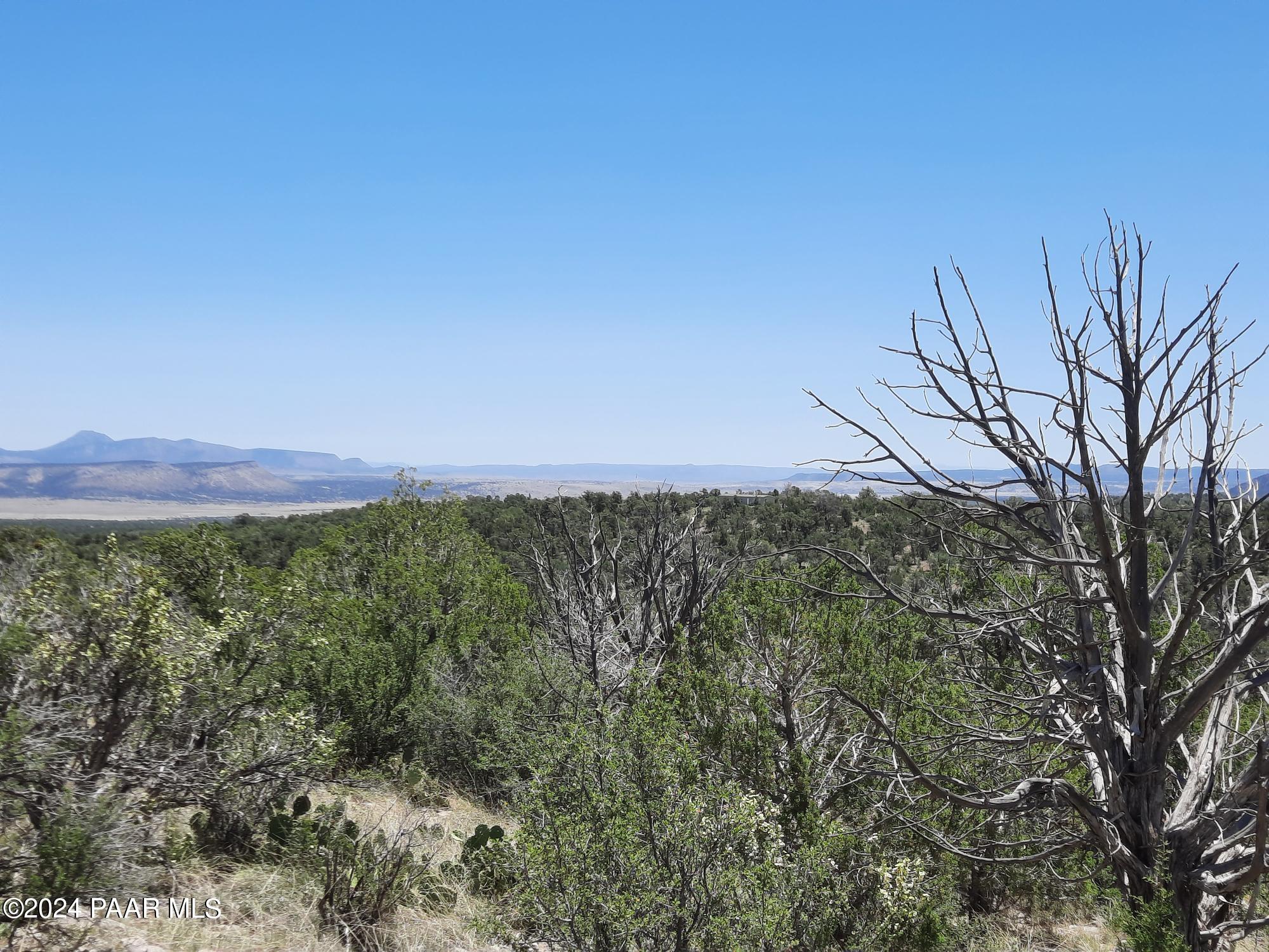 Lot 1404 North Lightning Rdg Road Seligman, AZ 86337 - Photo 5 of 8 20240519_120418