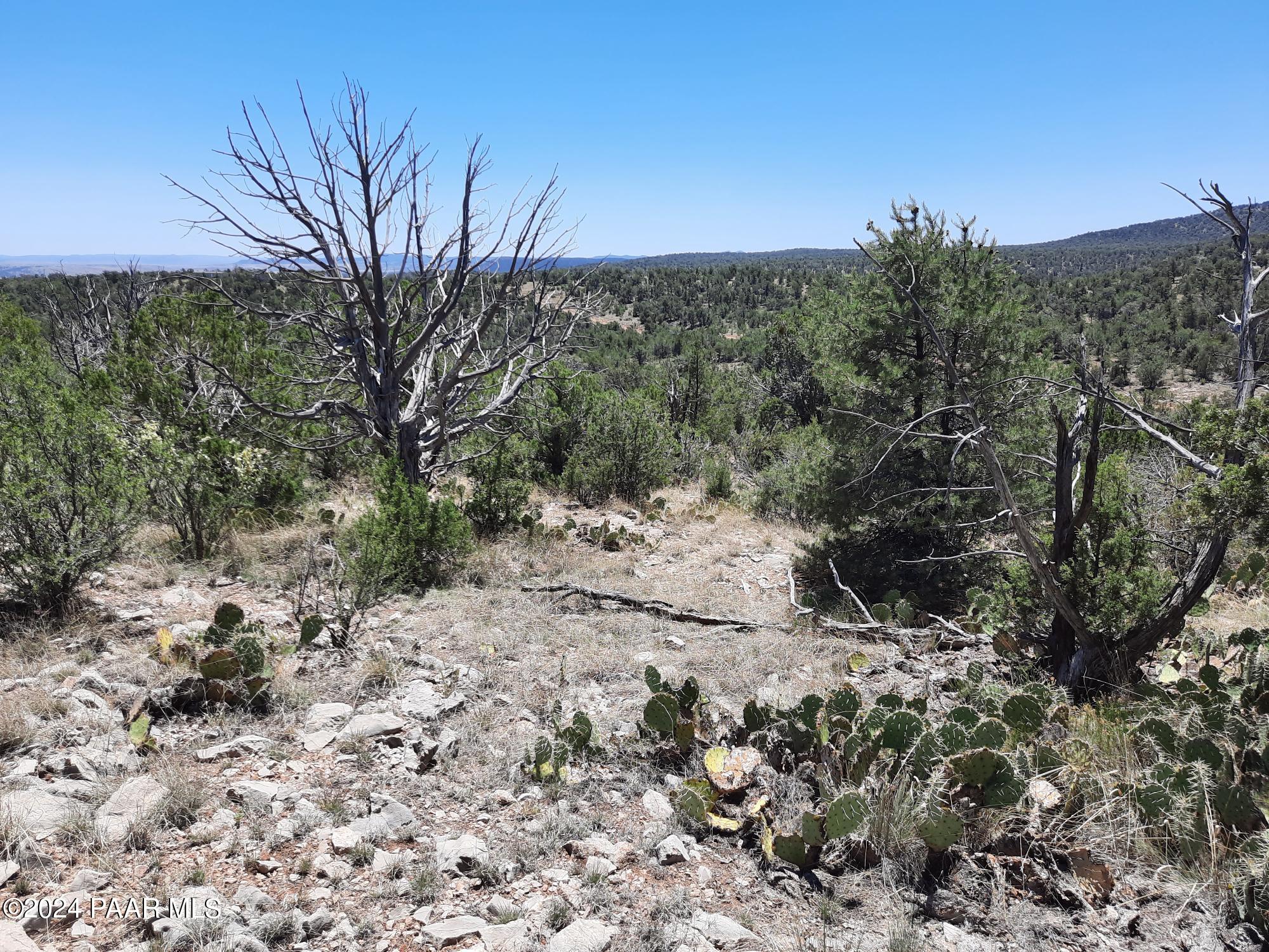 Lot 1404 North Lightning Rdg Road Seligman, AZ 86337 - Photo 6 of 8 20240519_120431