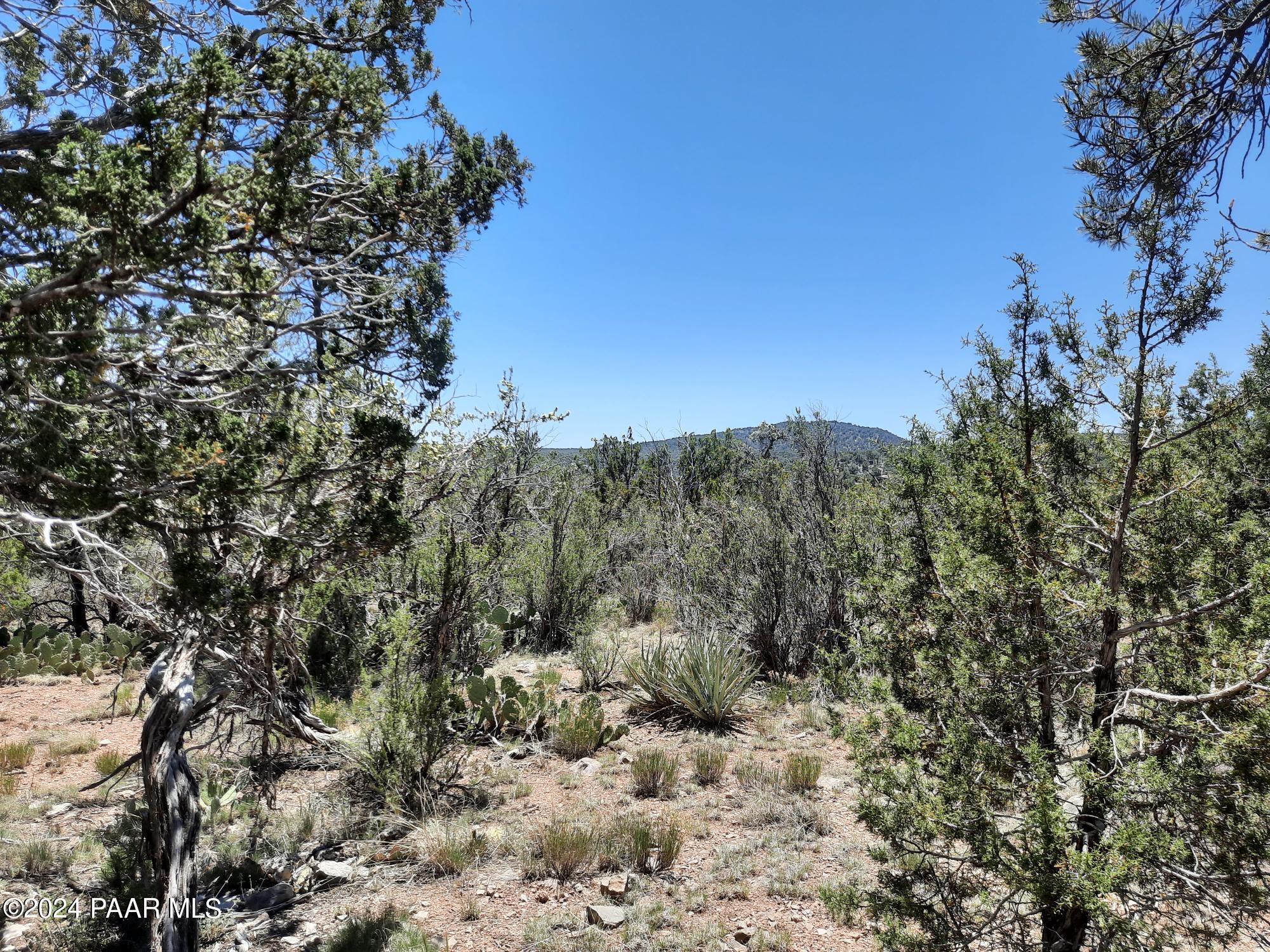 Lot 1404 North Lightning Rdg Road Seligman, AZ 86337 - Photo 7 of 8 20240519_120937