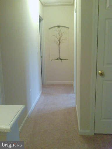 71 Clark Patton Road Fredericksburg, VA 22406 - Photo 18 of 19 Interior (General)