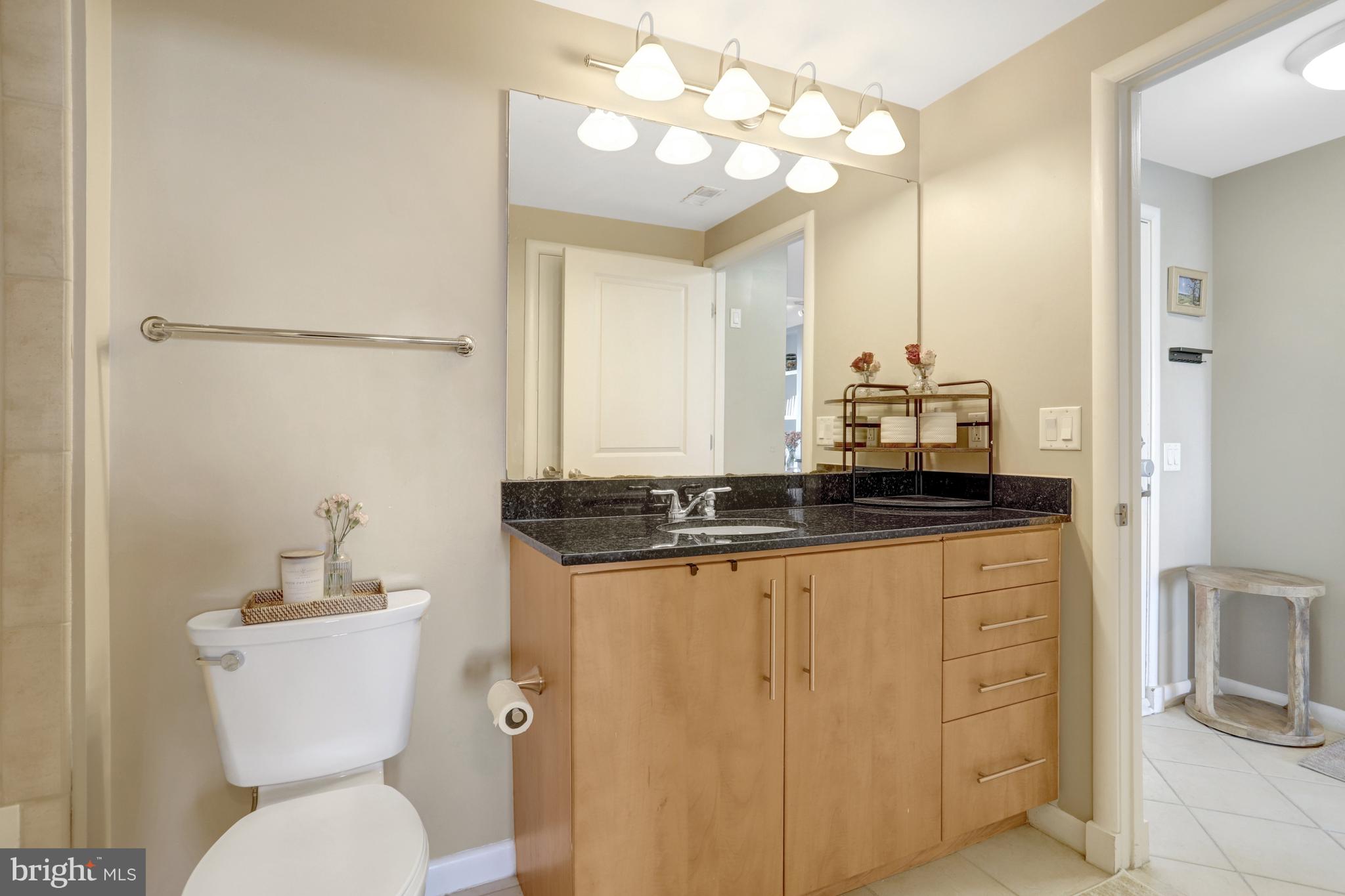 1021 North Garfield Street, Unit 914 Arlington, VA 22201 - Photo 20 of 63 a bathroom with a granite countertop sink a toilet and a mirror