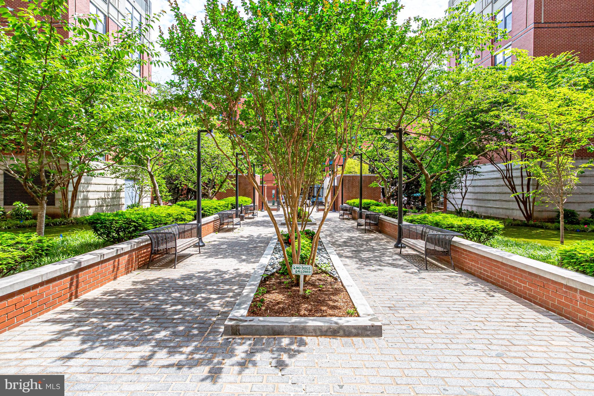 1021 North Garfield Street, Unit 914 Arlington, VA 22201 - Photo 49 of 63 a view of a park with large trees