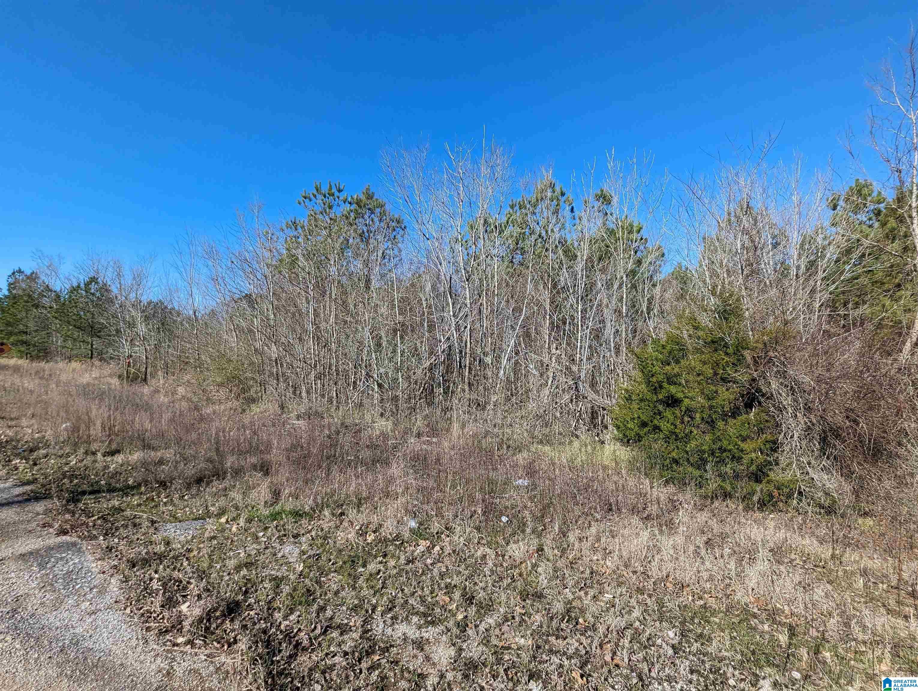 0 Chandler Springs Road Talladega, AL 35160 - Photo 32 of 35