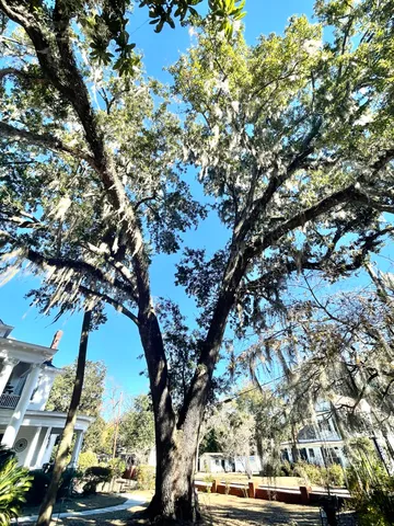 $679,900 | 919 Wichman Street, Walterboro, SC 29488