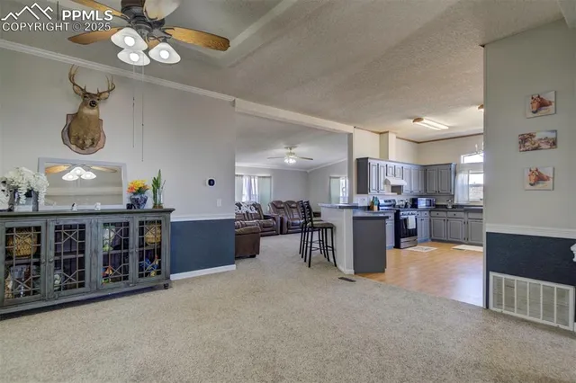 a living room with furniture and a kitchen