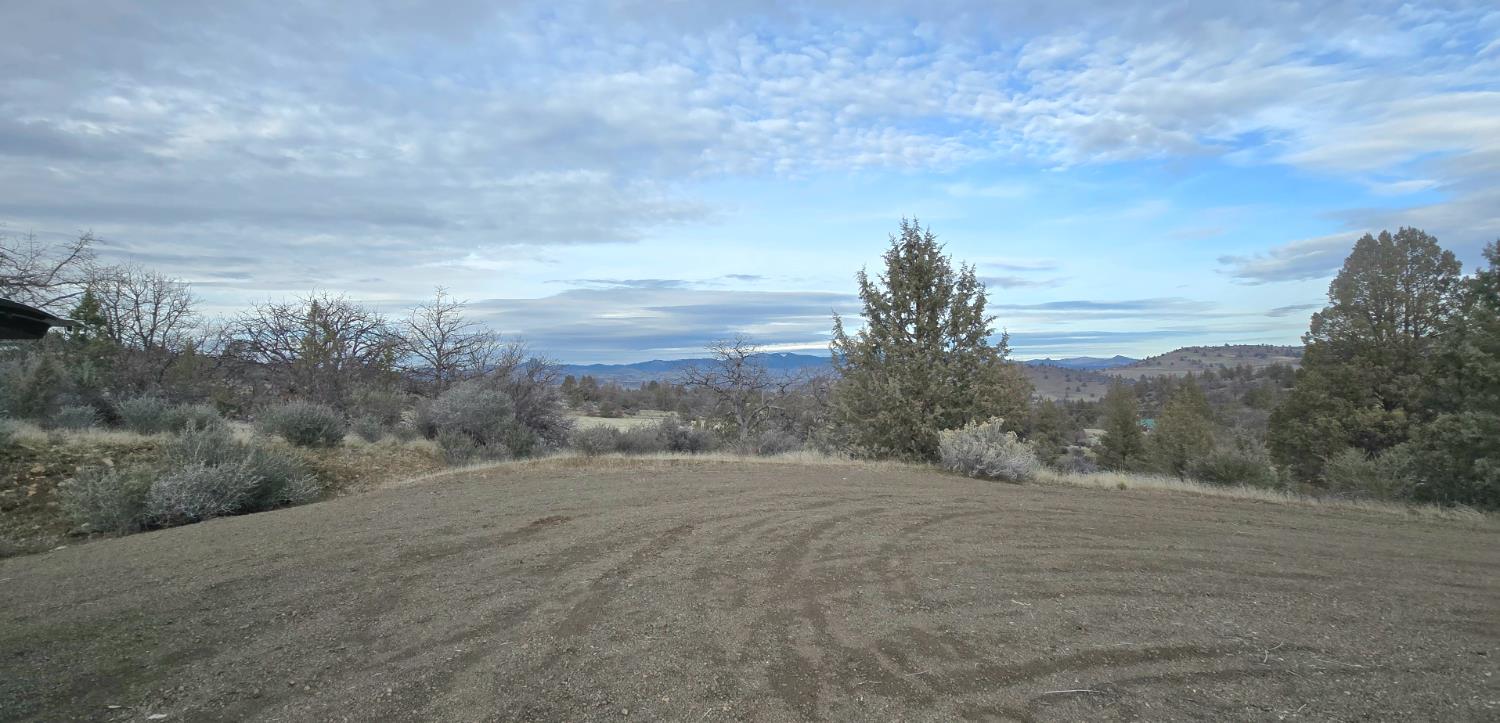 730 Grouse Way Hornbrook, CA 96044 - Photo 5 of 16 a view of a dry yard with trees