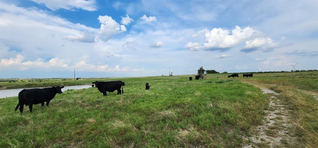 1397 Cr 338 Gainesville Tx 76240 Gainesville, TX 76240 - Photo 31 of 36 a view of a garden