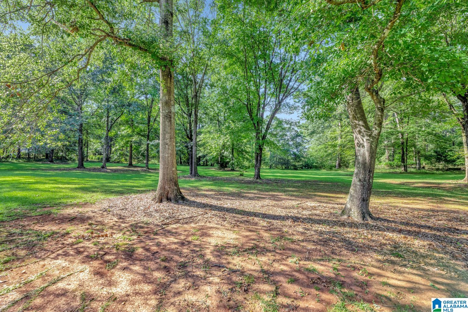 67 Coeur Dalene Montevallo, AL 35115 - Photo 4 of 44