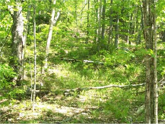 Lot 6-a) Little Sherburne Road Bridgewater, VT 05035 - Photo 1 of 2