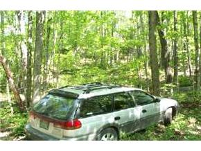 Lot 6-a) Little Sherburne Road Bridgewater, VT 05035 - Photo 2 of 2