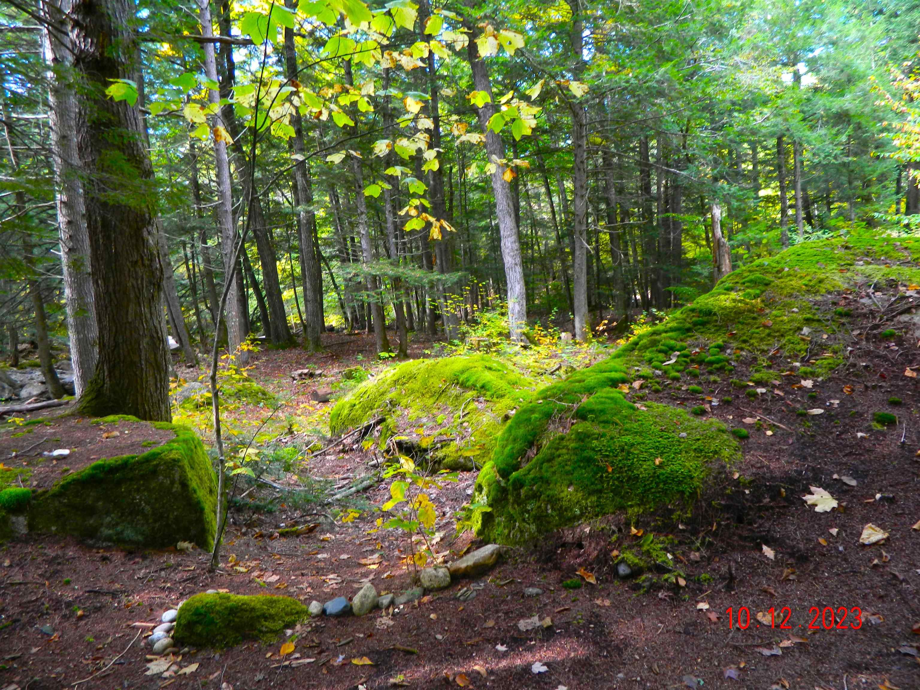 275 Pine Hill Road Ossipee, NH 03814 - Photo 19 of 33