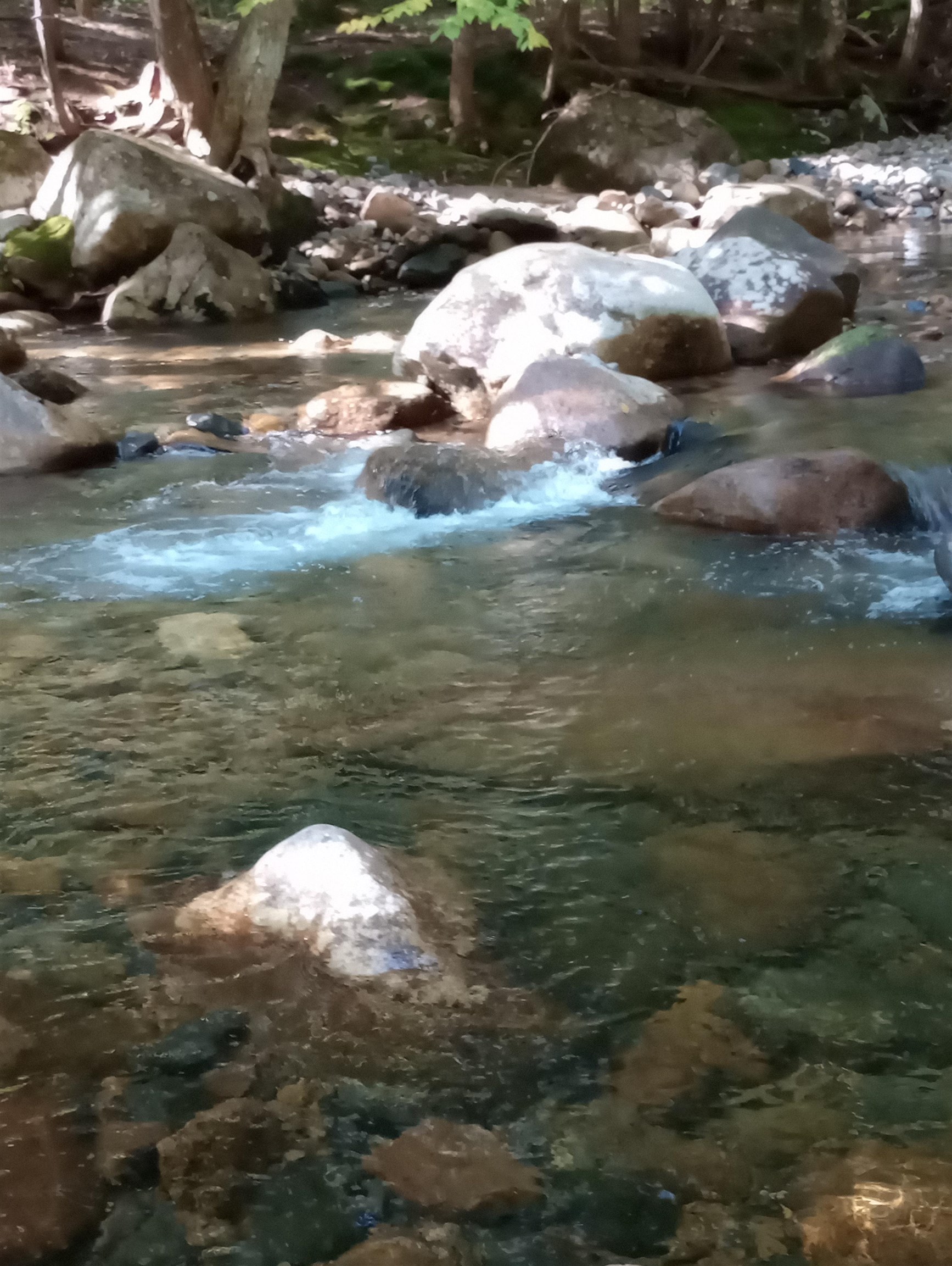 275 Pine Hill Road Ossipee, NH 03814 - Photo 21 of 33