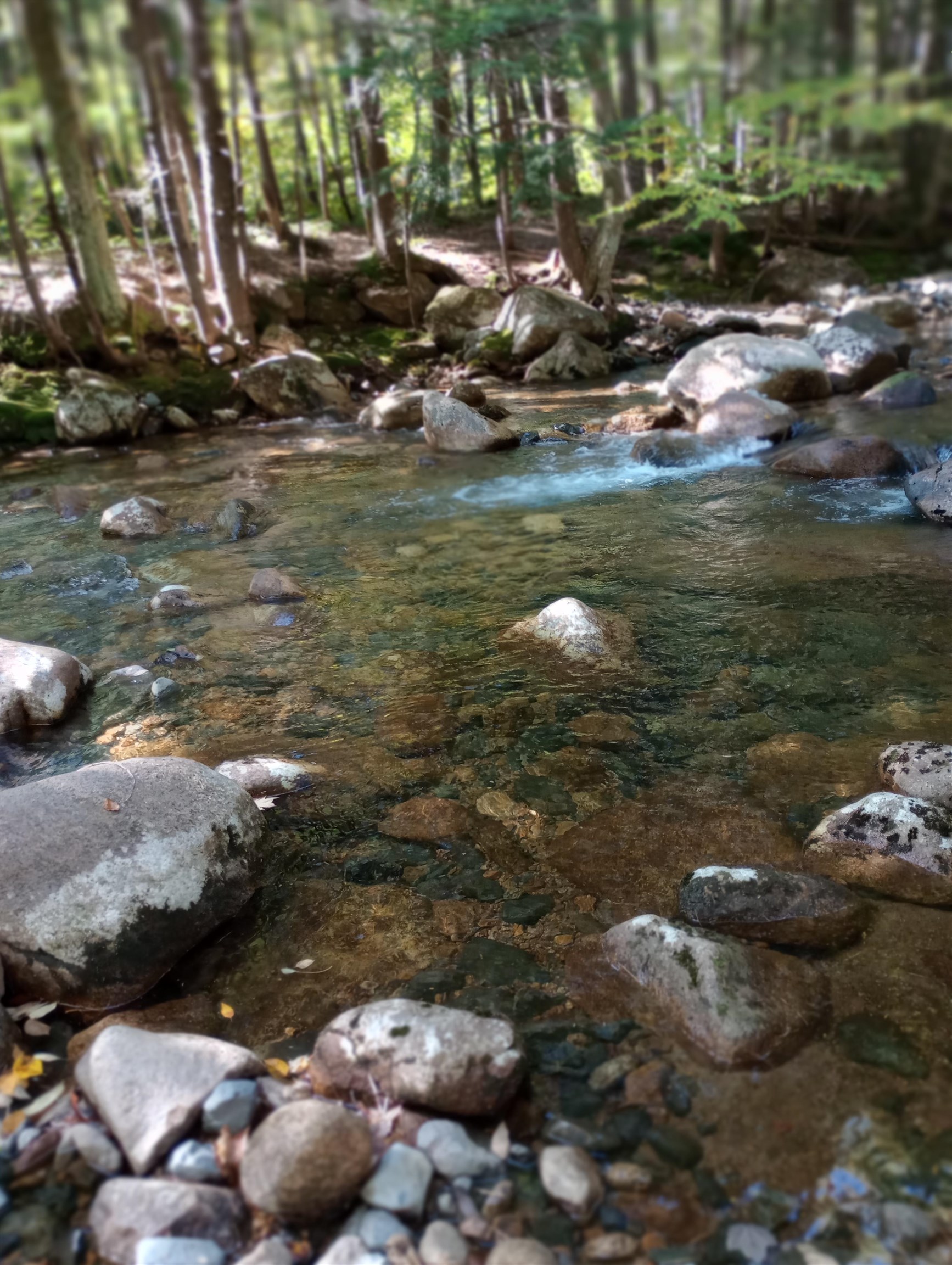 275 Pine Hill Road Ossipee, NH 03814 - Photo 23 of 33