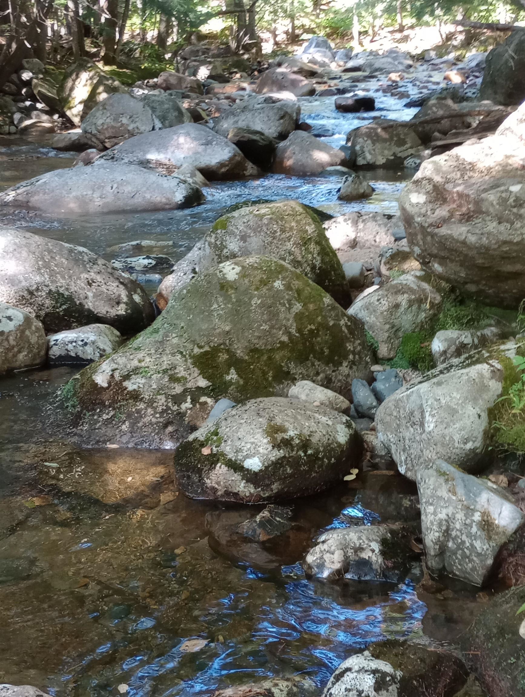 275 Pine Hill Road Ossipee, NH 03814 - Photo 25 of 33