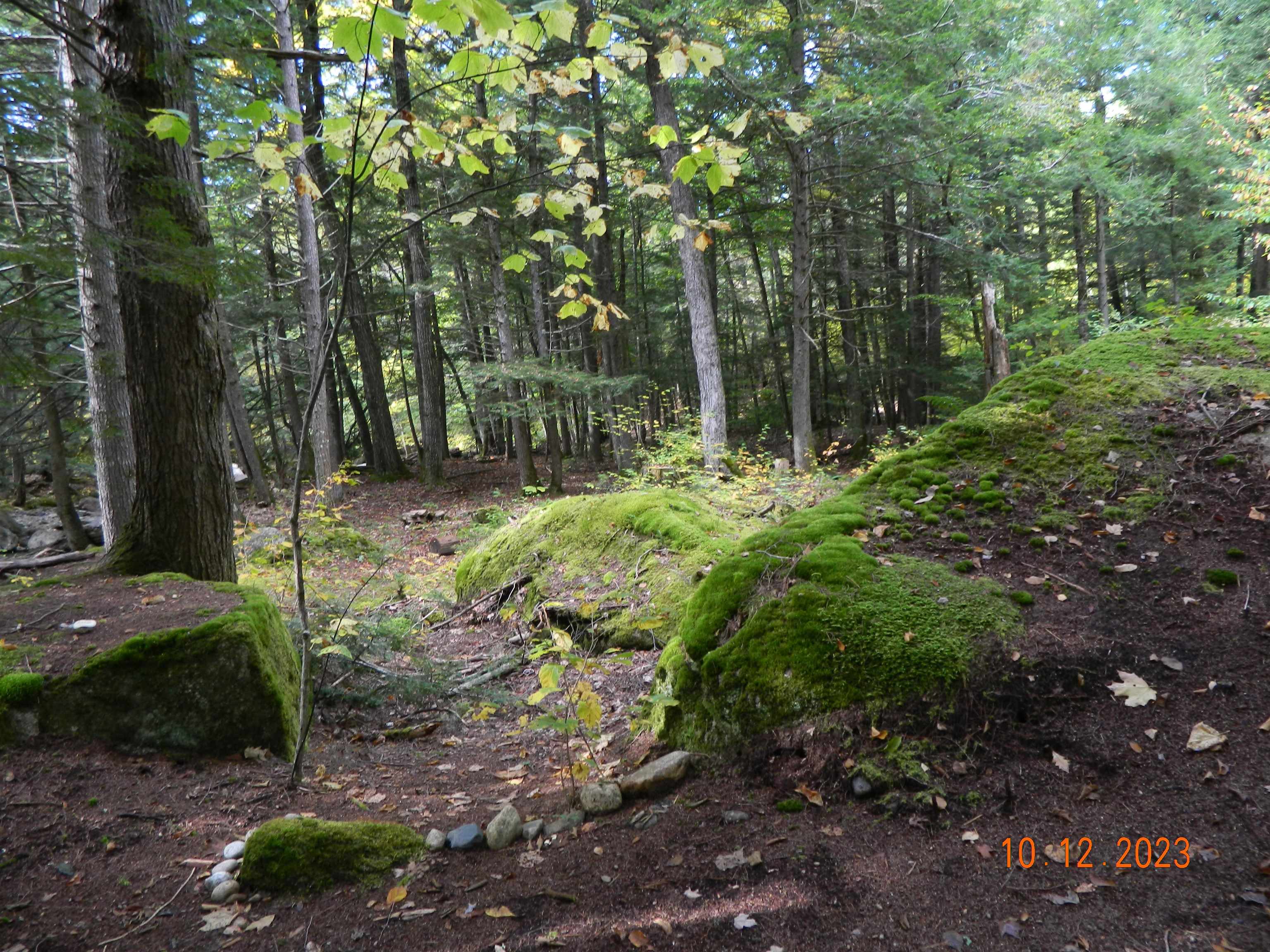 275 Pine Hill Road Ossipee, NH 03814 - Photo 27 of 33