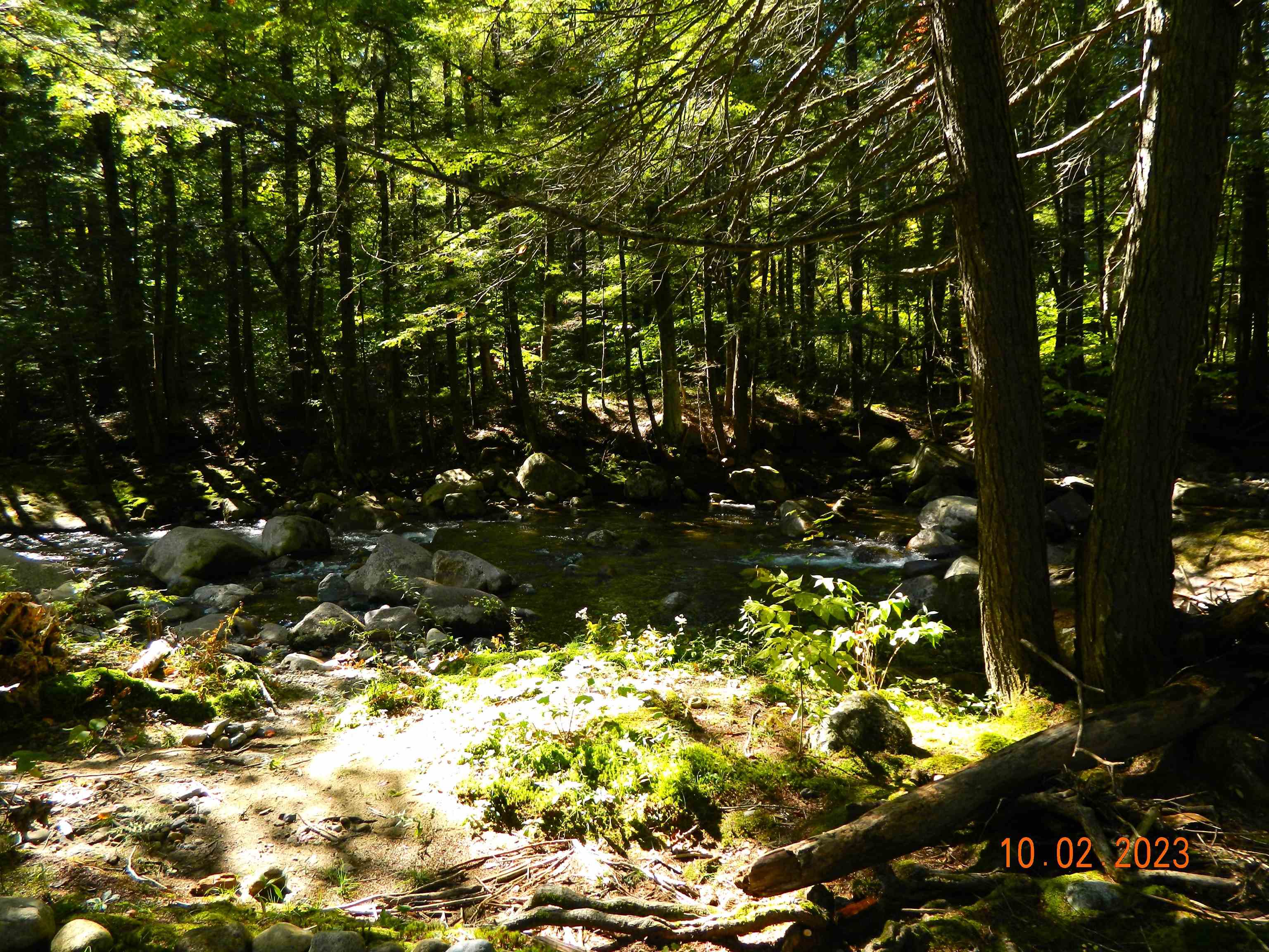 275 Pine Hill Road Ossipee, NH 03814 - Photo 28 of 33