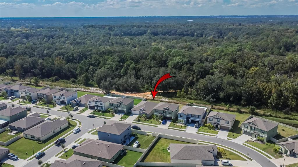 1748 Red Loop Lakeland, FL 33801 - Photo 46 of 66