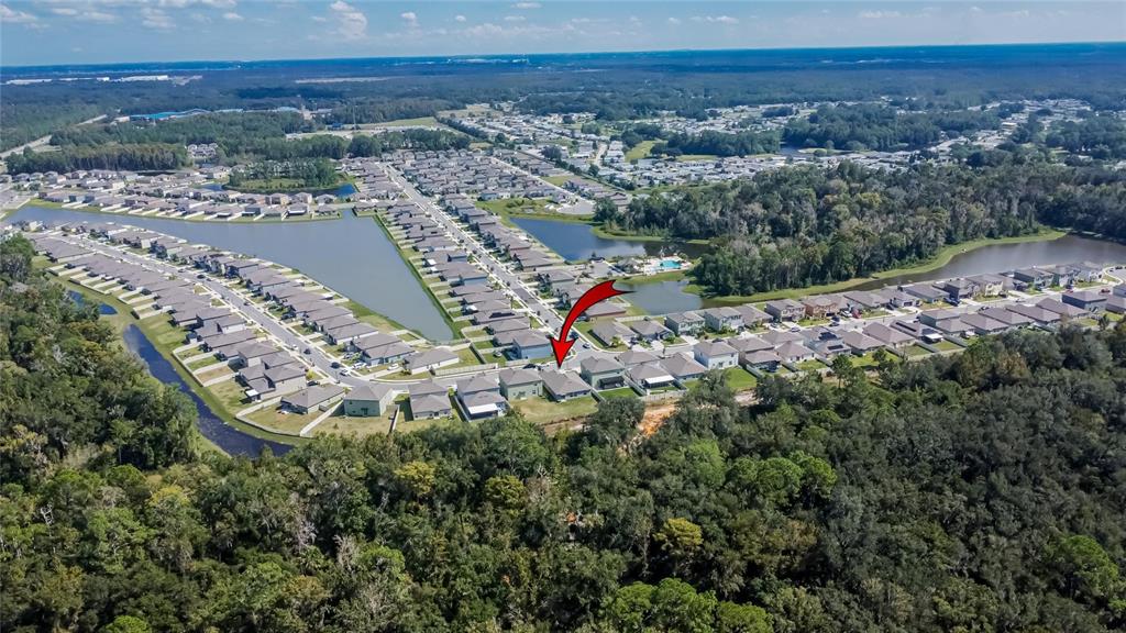 1748 Red Loop Lakeland, FL 33801 - Photo 60 of 66