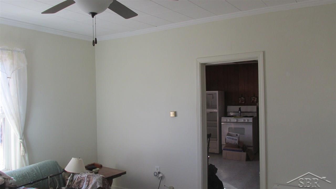 31374086-6.JPG