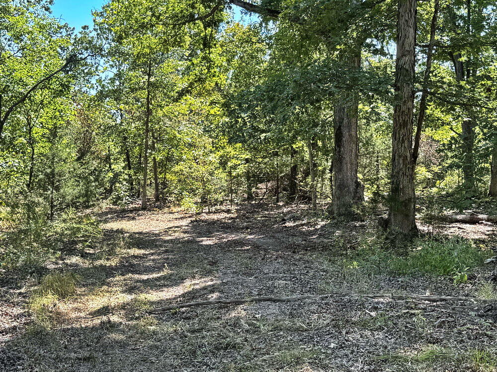 0 Southeast 500 Road Collins, MO 64738 - Photo 31 of 43 31