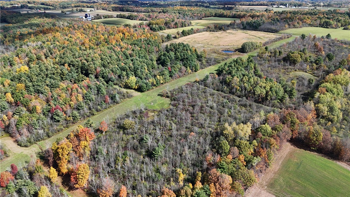 0 Bigelow Hill Road Dundee, NY 14837 - Photo 11 of 21