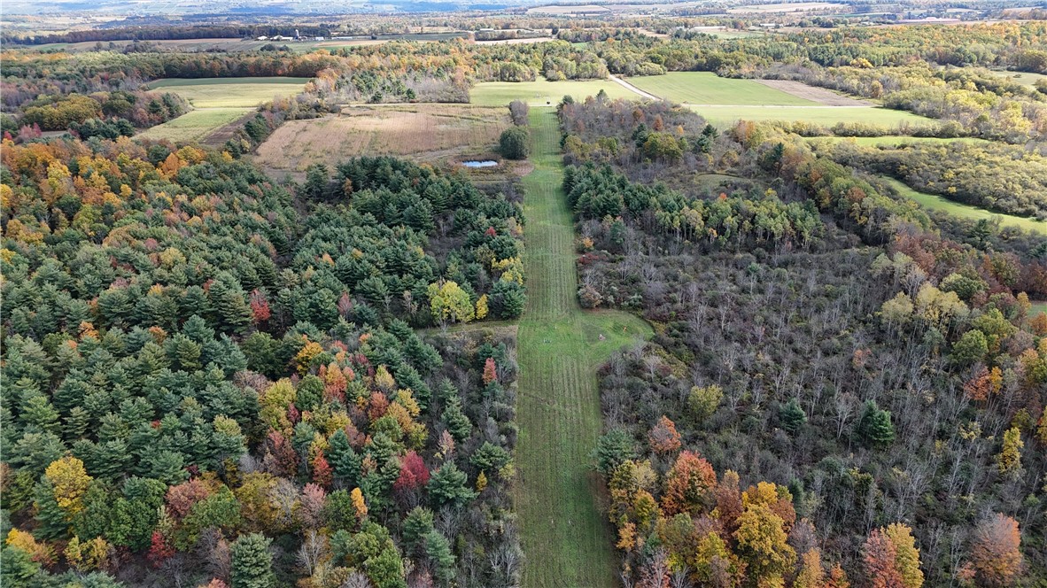 0 Bigelow Hill Road Dundee, NY 14837 - Photo 12 of 21