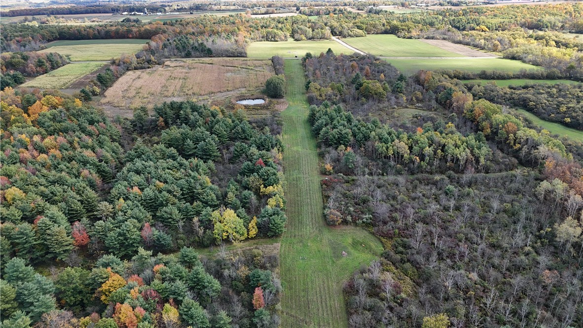 0 Bigelow Hill Road Dundee, NY 14837 - Photo 13 of 21