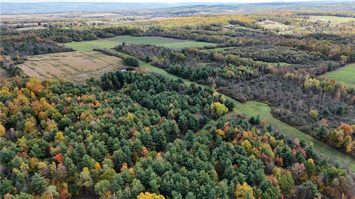 0 Bigelow Hill Road Dundee, NY 14837 - Photo 14 of 21