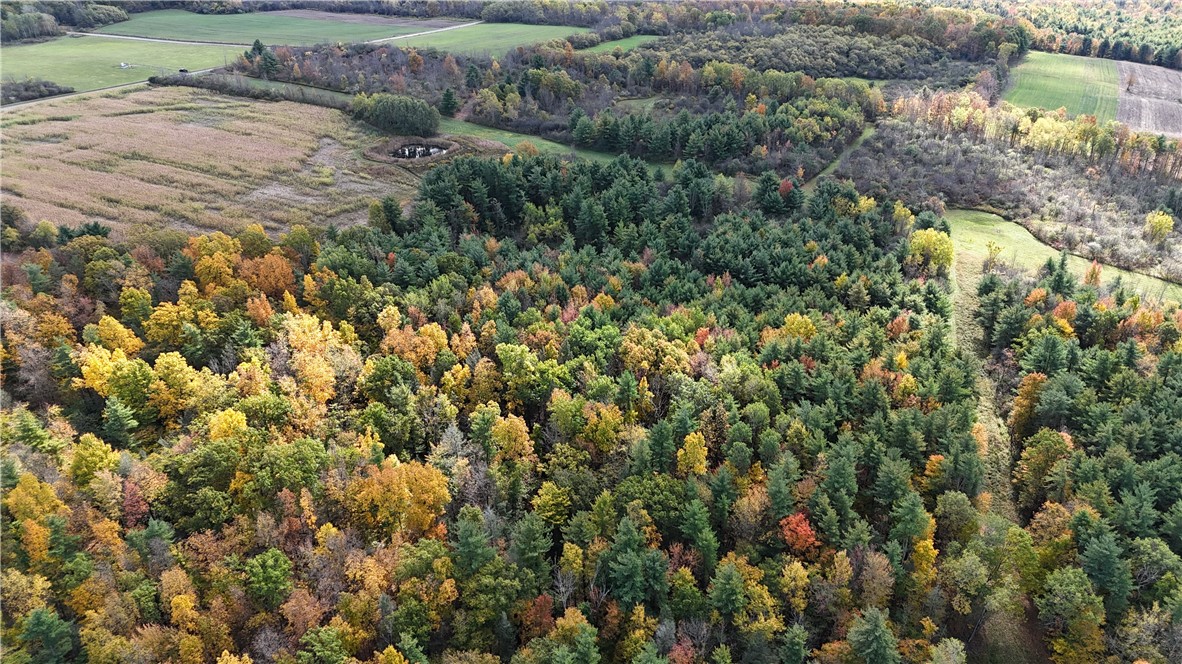 0 Bigelow Hill Road Dundee, NY 14837 - Photo 15 of 21