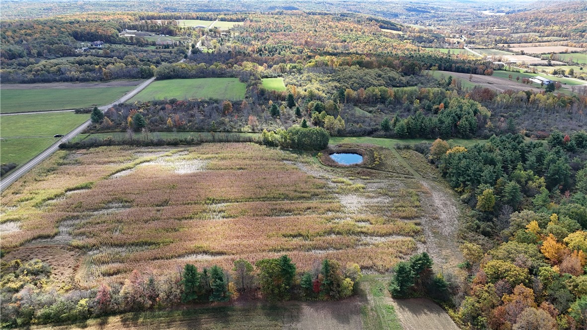 0 Bigelow Hill Road Dundee, NY 14837 - Photo 16 of 21