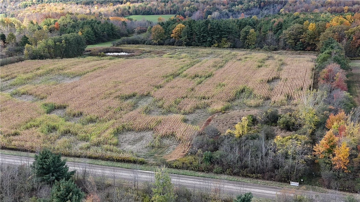 0 Bigelow Hill Road Dundee, NY 14837 - Photo 17 of 21