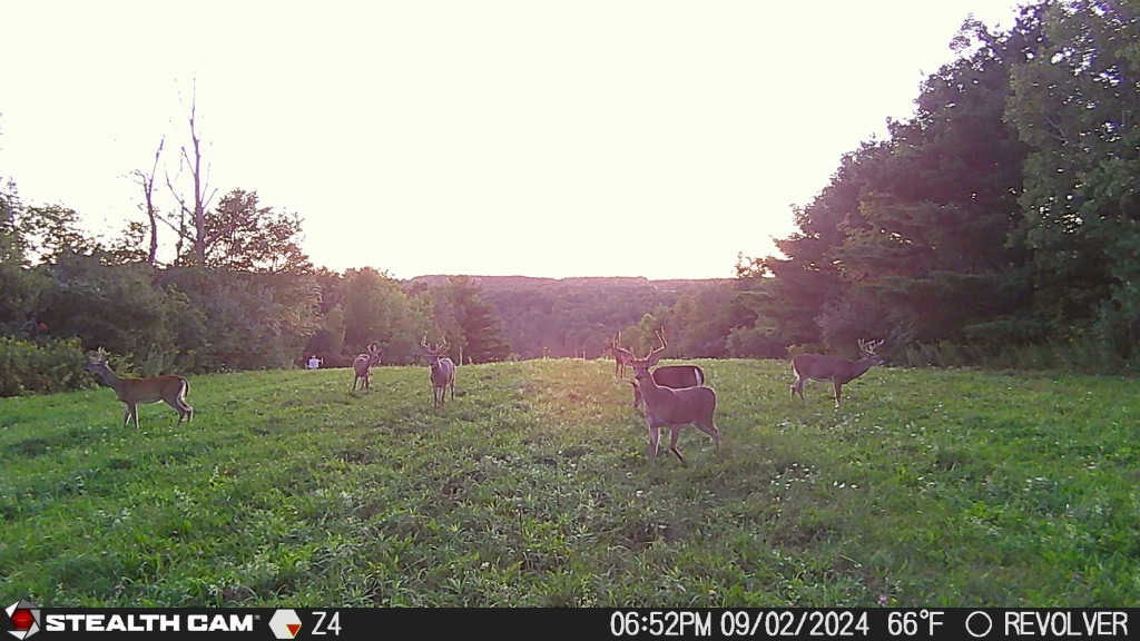 0 Bigelow Hill Road Dundee, NY 14837 - Photo 18 of 21