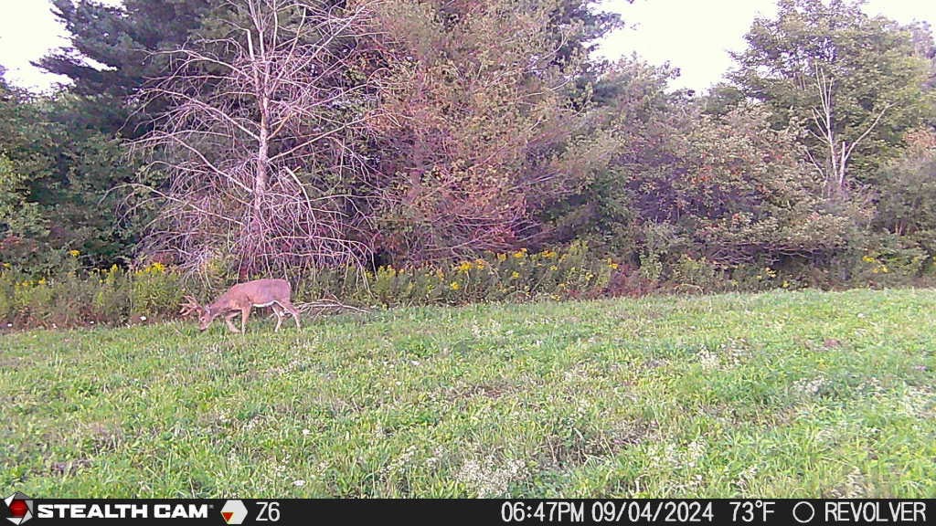 0 Bigelow Hill Road Dundee, NY 14837 - Photo 19 of 21