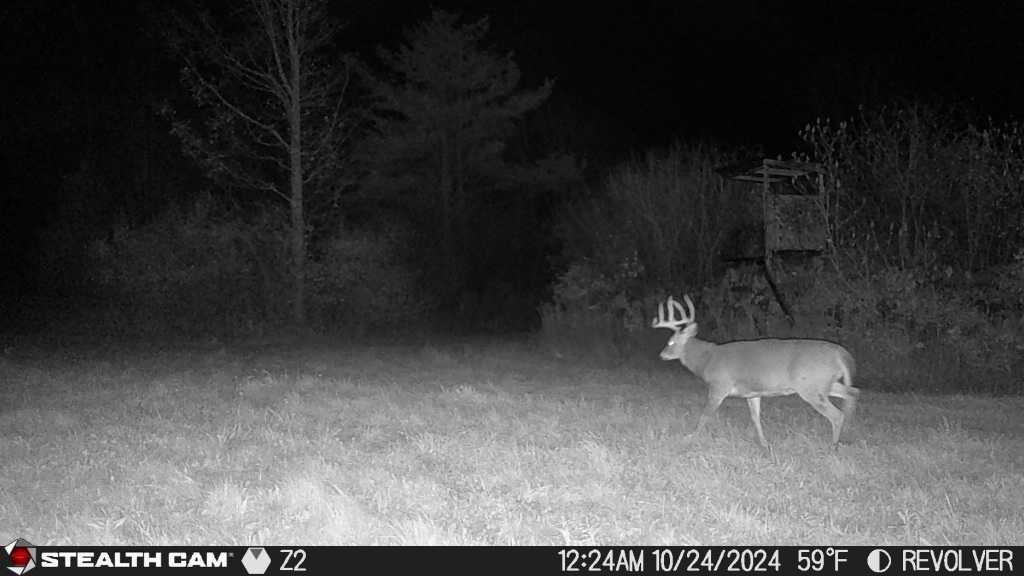 0 Bigelow Hill Road Dundee, NY 14837 - Photo 20 of 21