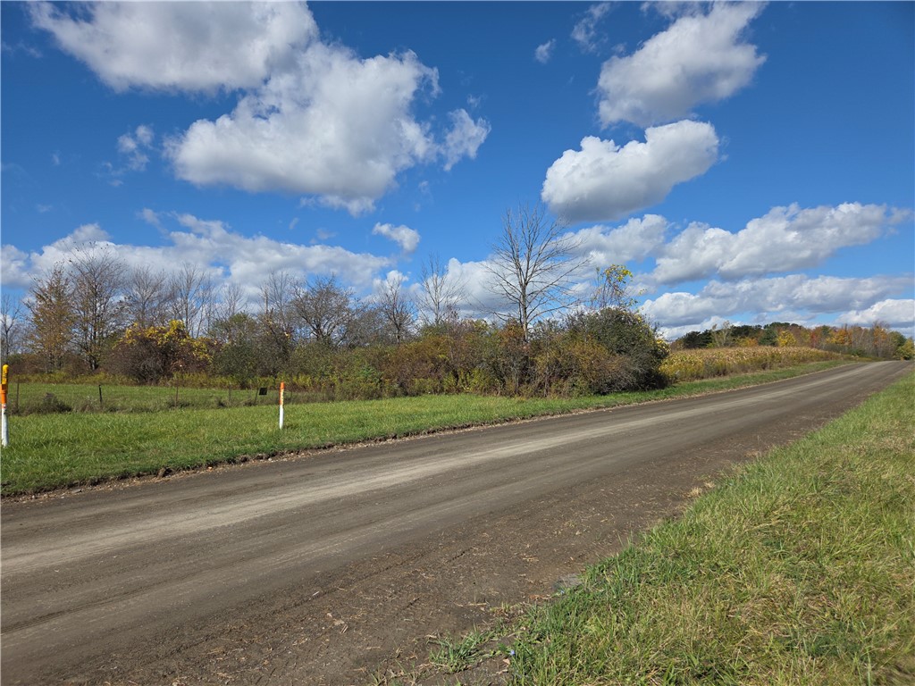 0 Bigelow Hill Road Dundee, NY 14837 - Photo 2 of 21