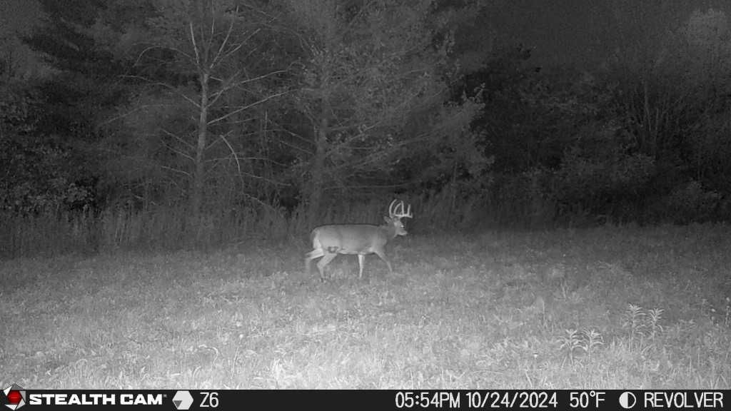 0 Bigelow Hill Road Dundee, NY 14837 - Photo 21 of 21