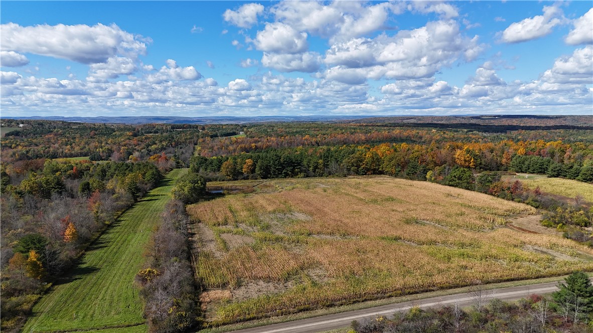 0 Bigelow Hill Road Dundee, NY 14837 - Photo 3 of 21