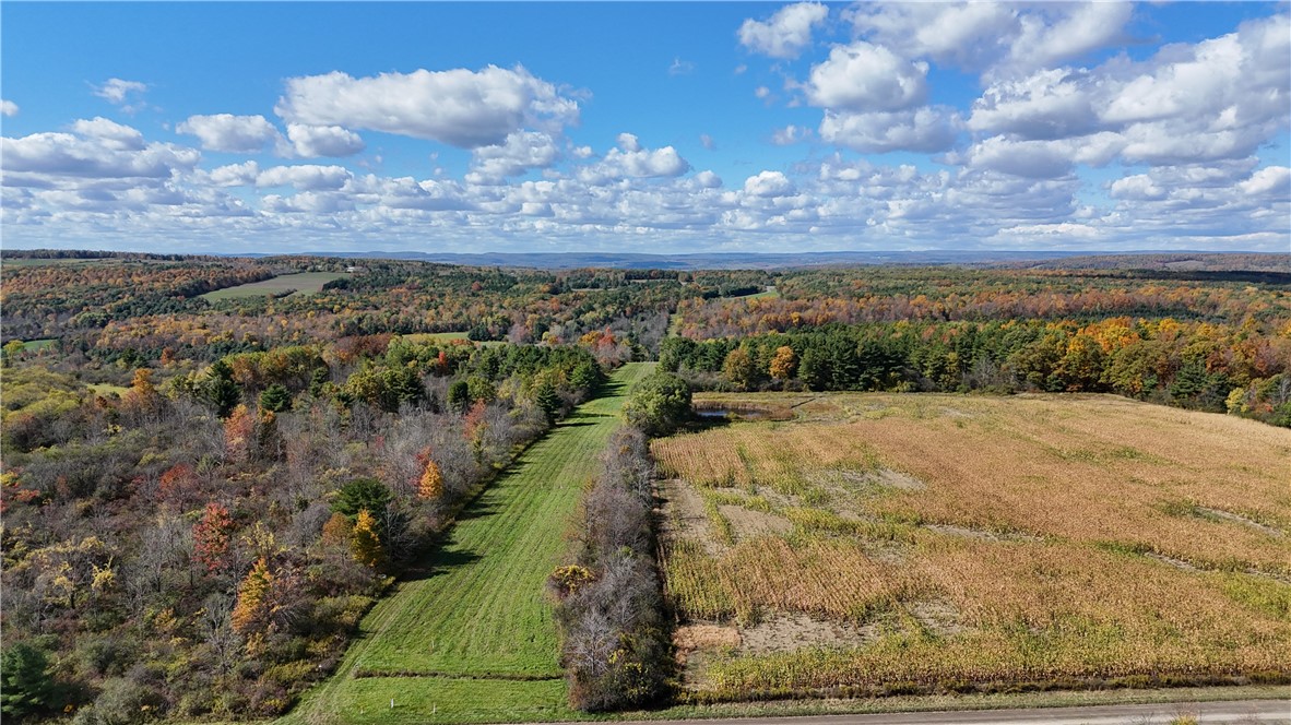 0 Bigelow Hill Road Dundee, NY 14837 - Photo 4 of 21