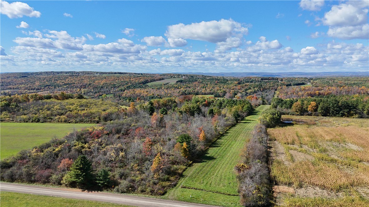 0 Bigelow Hill Road Dundee, NY 14837 - Photo 5 of 21
