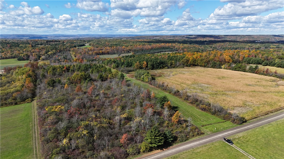 0 Bigelow Hill Road Dundee, NY 14837 - Photo 6 of 21