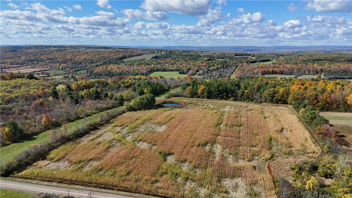 0 Bigelow Hill Road Dundee, NY 14837 - Photo 7 of 21