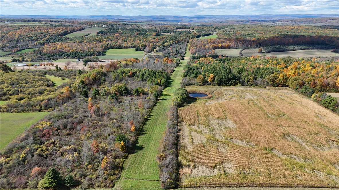 0 Bigelow Hill Road Dundee, NY 14837 - Photo 8 of 21