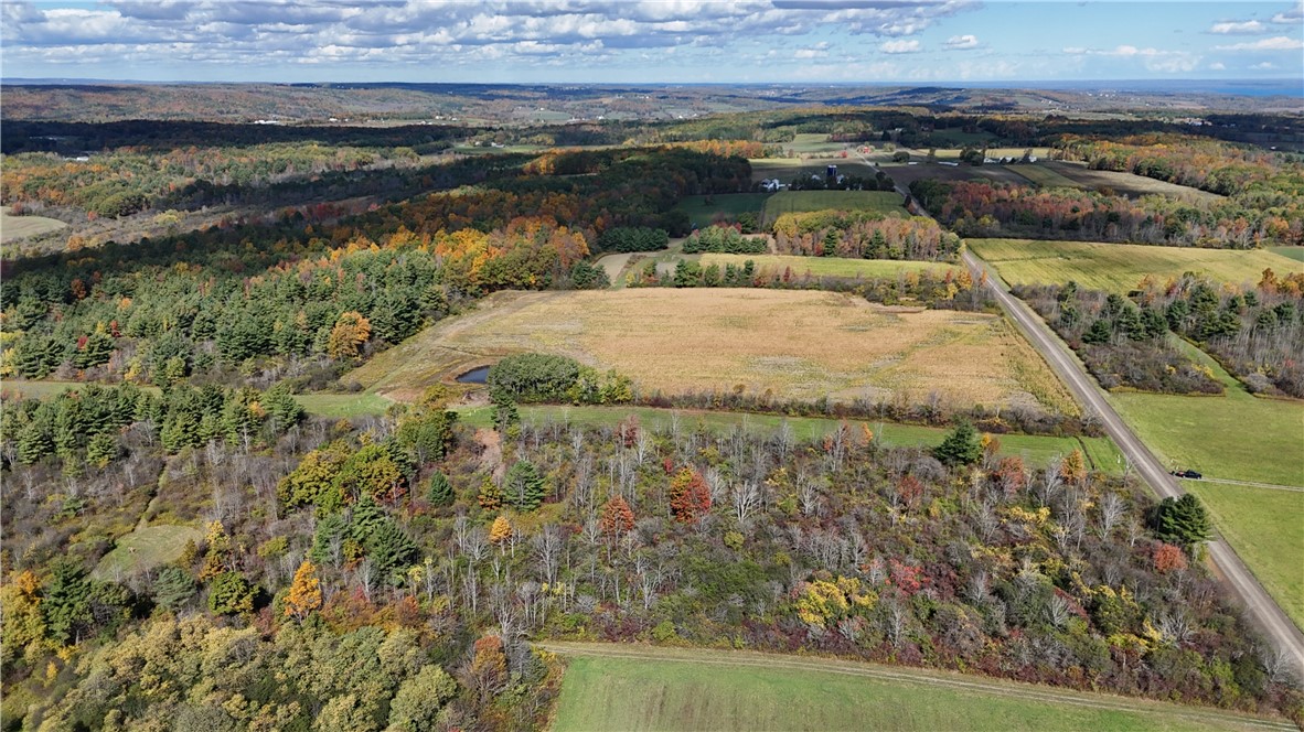 0 Bigelow Hill Road Dundee, NY 14837 - Photo 9 of 21