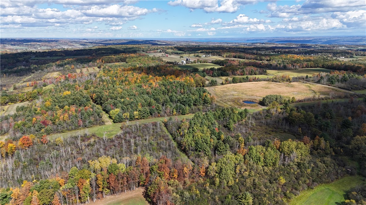 0 Bigelow Hill Road Dundee, NY 14837 - Photo 10 of 21